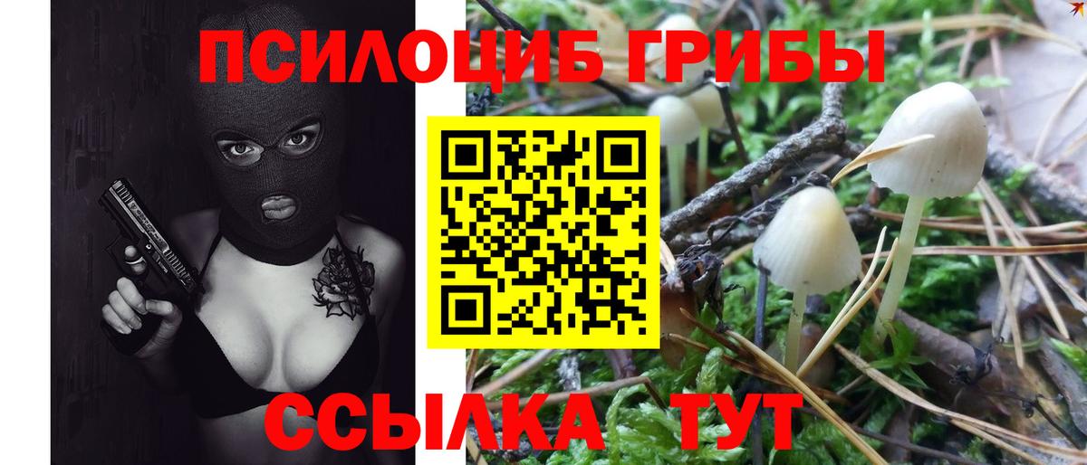 Кубинка  Галлюциногенные грибы прущие грибы  Вход с VPN 